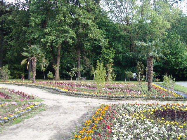 Miskolctapolca - virgos tr...